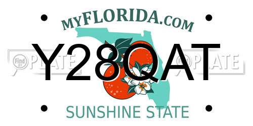 Y28QAT Florida License Plate