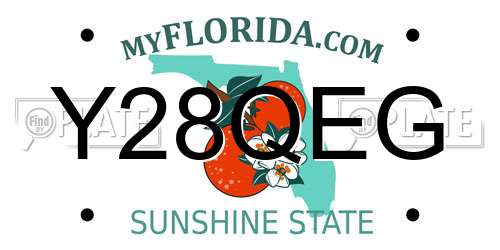 Y28QEG Florida License Plate