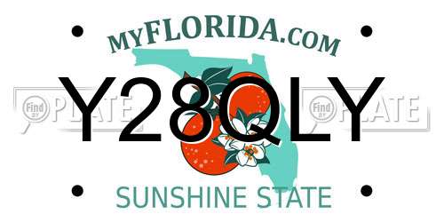 Y28QLY Florida License Plate