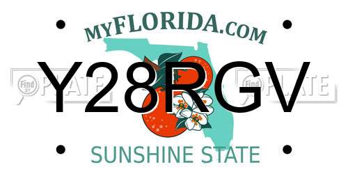 Y28RGV Florida License Plate