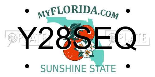 Y28SEQ Florida License Plate