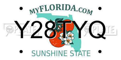 Y28TYQ Florida License Plate