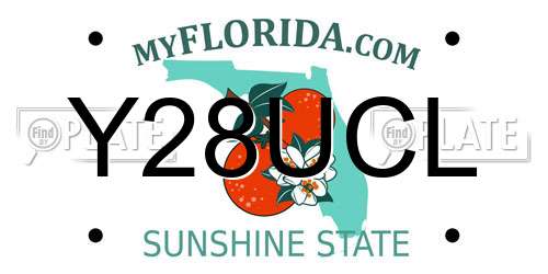 Y28UCL Florida License Plate