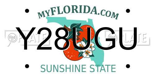 Y28UGU Florida License Plate
