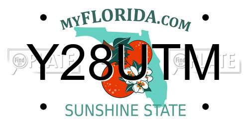 Y28UTM Florida License Plate