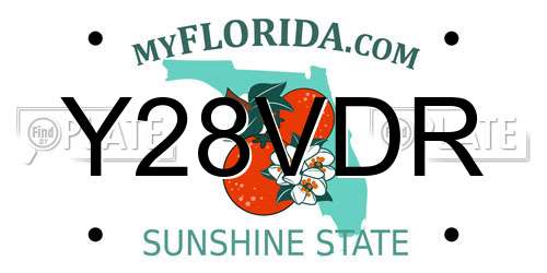 Y28VDR Florida License Plate