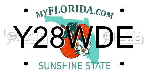 Y28WDE Florida License Plate
