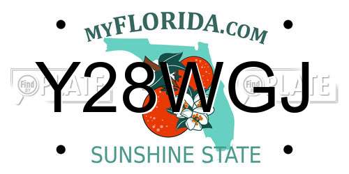 Y28WGJ Florida License Plate