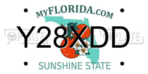 Y28XDD Florida License Plate