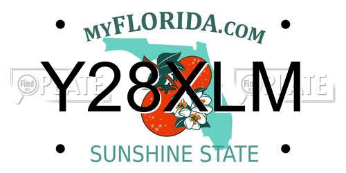 Y28XLM Florida License Plate