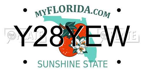 Y28YEW Florida License Plate