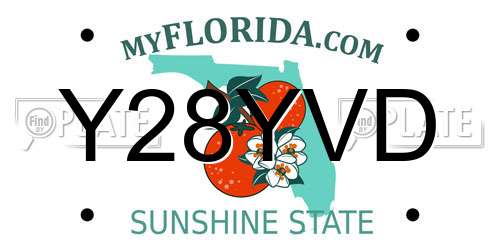 Y28YVD Florida License Plate