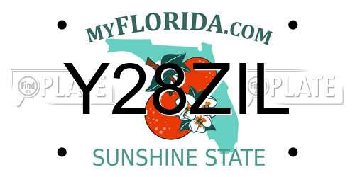 Y28ZIL Florida License Plate