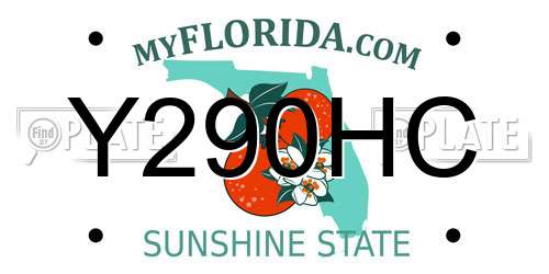 Y290HC Florida License Plate
