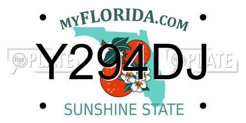 Y294DJ Florida License Plate