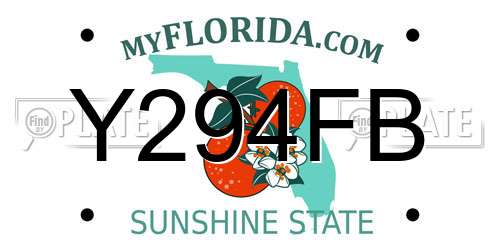 Y294FB Florida License Plate