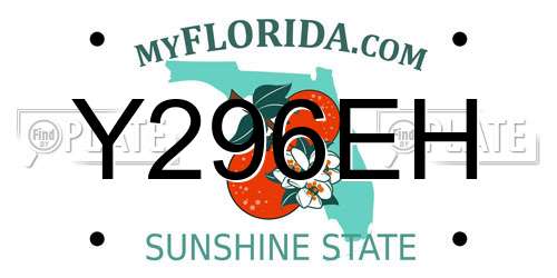 Y296EH Florida License Plate