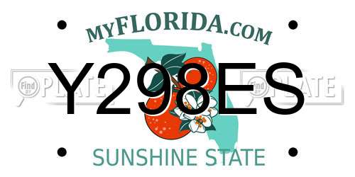 Y298ES Florida License Plate