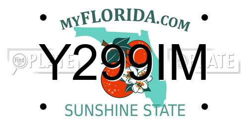 Y299IM Florida License Plate