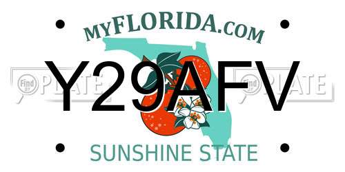 Y29AFV Florida License Plate