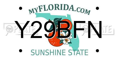 Y29BFN Florida License Plate