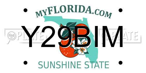 Y29BIM Florida License Plate