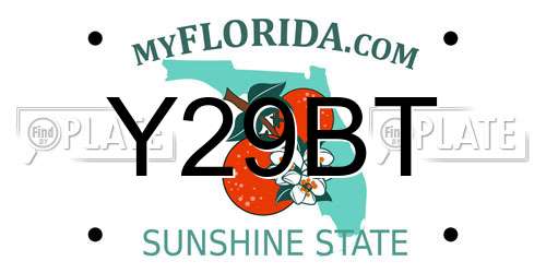 Y29BT Florida License Plate