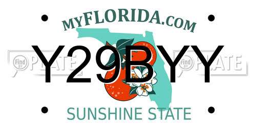 Y29BYY Florida License Plate