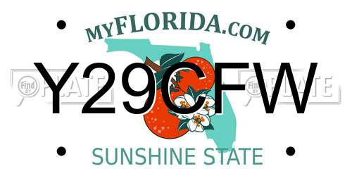 Y29CFW Florida License Plate