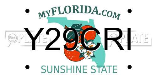 Y29CRI Florida License Plate