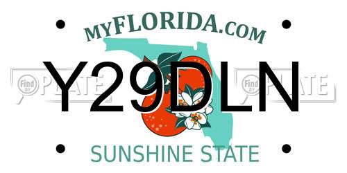 Y29DLN Florida License Plate