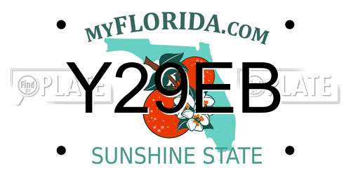 Y29EB Florida License Plate