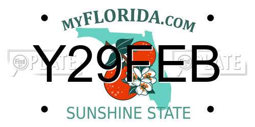 Y29FEB Florida License Plate