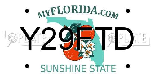 Y29FTD Florida License Plate