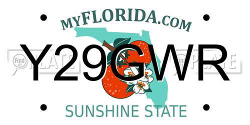 Y29GWR Florida License Plate