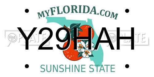 Y29HAH Florida License Plate