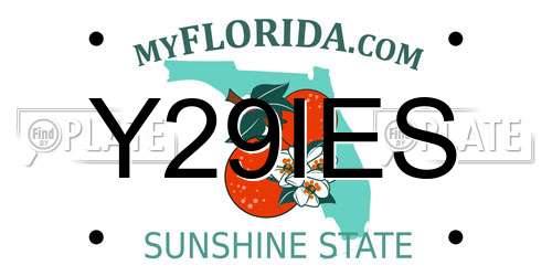 Y29IES Florida License Plate