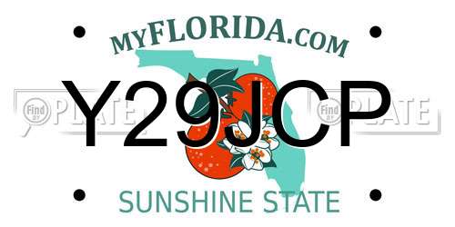 Y29JCP Florida License Plate