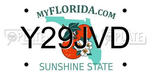 Y29JVD Florida License Plate