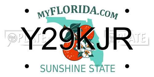 Y29KJR Florida License Plate