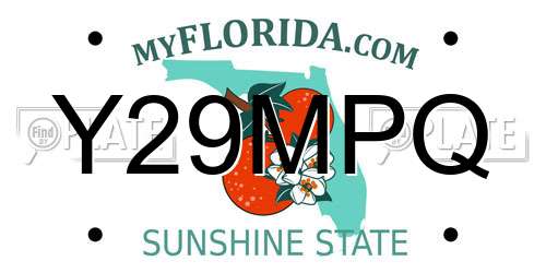 Y29MPQ Florida License Plate
