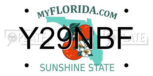 Y29NBF Florida License Plate