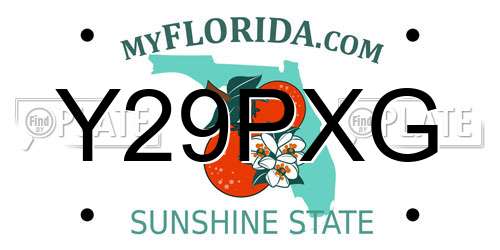 Y29PXG Florida License Plate