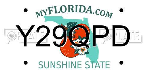 Y29QPD Florida License Plate