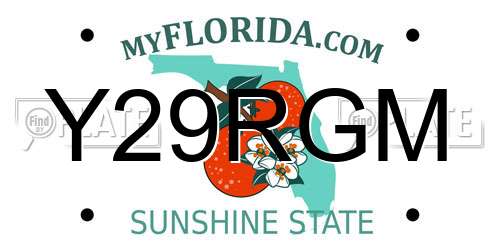 Y29RGM Florida License Plate