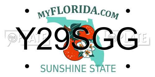 Y29SGG Florida License Plate