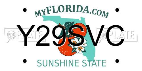 Y29SVC Florida License Plate