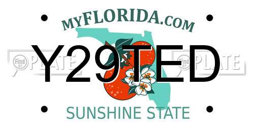 Y29TED Florida License Plate