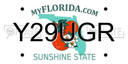Y29UGR Florida License Plate