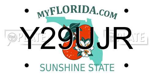 Y29UJR Florida License Plate